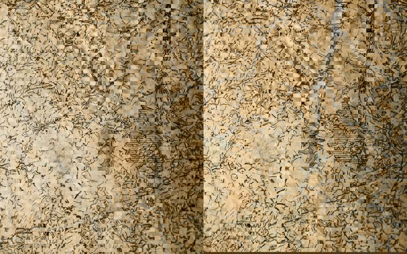 Nik Shuliahin Rkfiie9pxh0 Unsplash